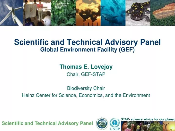 scientific and technical advisory panel global environment facility gef