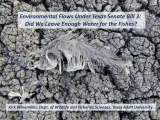 Environmental Flows Under Texas Senate Bill 3: Did We Leave Enough Water for the Fishes?