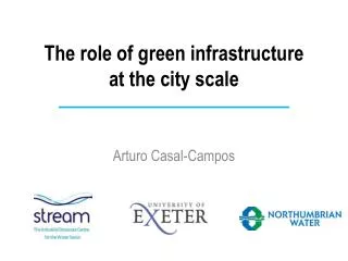 The role of green infrastructure at the city scale
