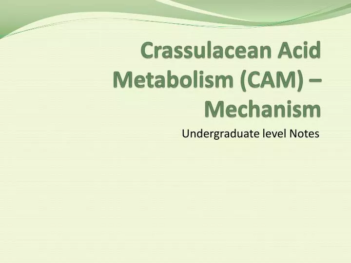 crassulacean acid metabolism cam mechanism