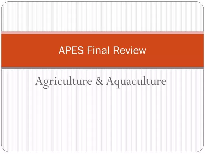 apes final review