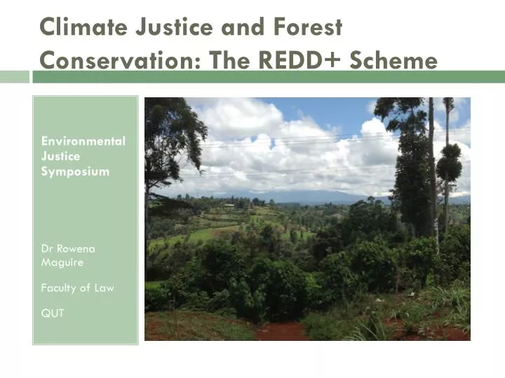 climate justice and forest conservation the redd scheme