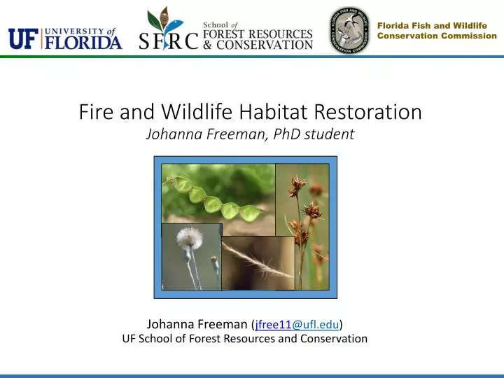 fire and wildlife habitat restoration johanna freeman phd student