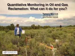 Quantitative Monitoring in Oil and Gas Reclamation: What can it do for you?