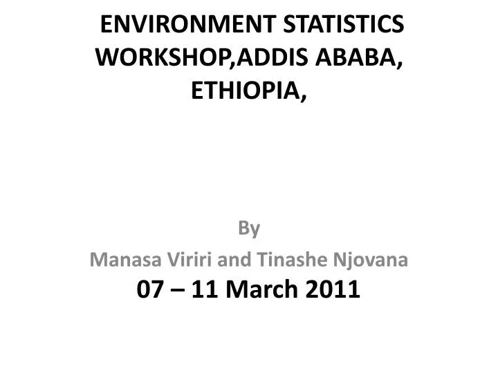 environment statistics workshop addis ababa ethiopia 07 11 march 2011
