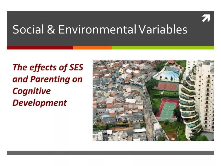 social environmental variables