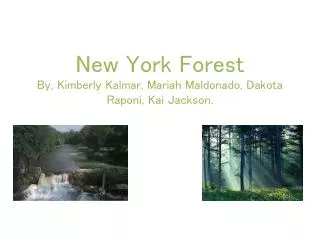 New York Forest By, Kimberly Kalmar, Mariah Maldonado, Dakota Raponi , Kai Jackson.