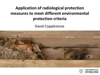 Application of radiological protection measures to meet different environmental protection criteria
