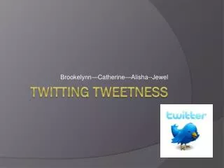 Twitting Tweetness