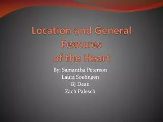 Location and General Features of the Heart