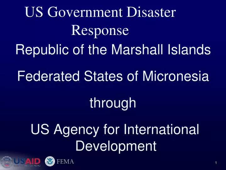 us government disaster response