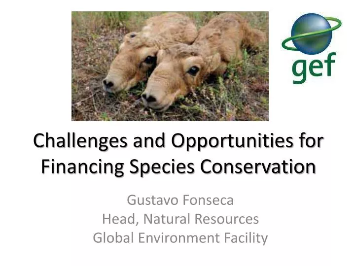 challenges and opportunities for financing species conservation