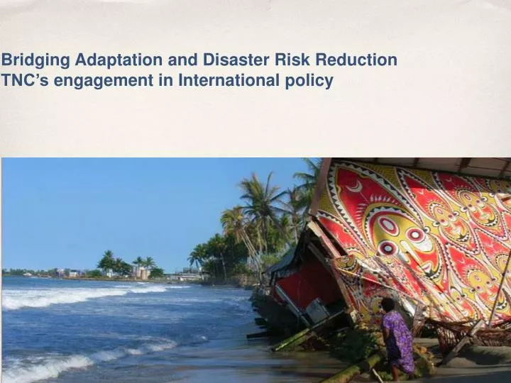 bridging adaptation and disaster risk reduction tnc s engagement in international policy
