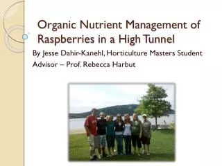 Organic Nutrient Management of Raspberries in a High Tunnel