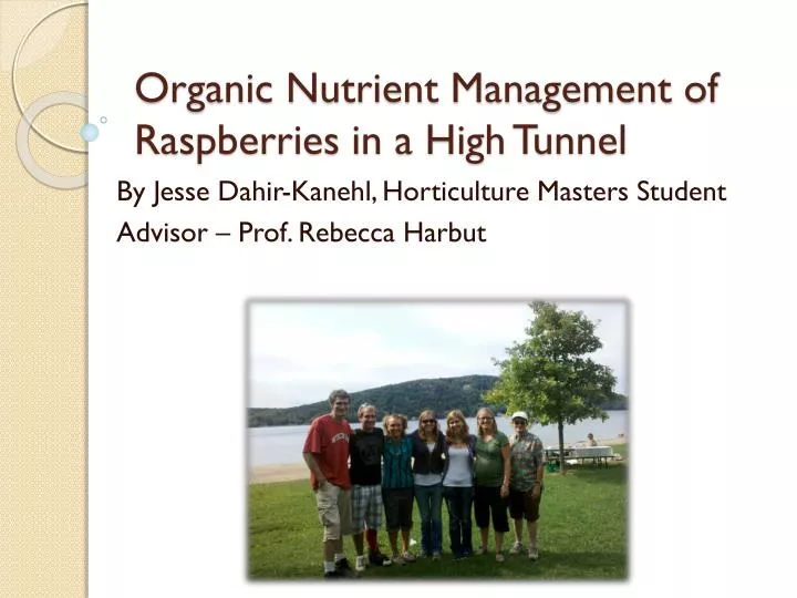 organic nutrient management of raspberries in a high tunnel