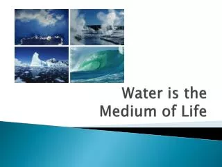 Water is the Medium of Life