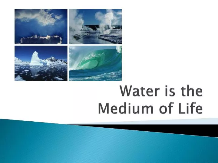 water is the medium of life