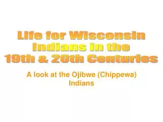 A look at the Ojibwe (Chippewa) Indians