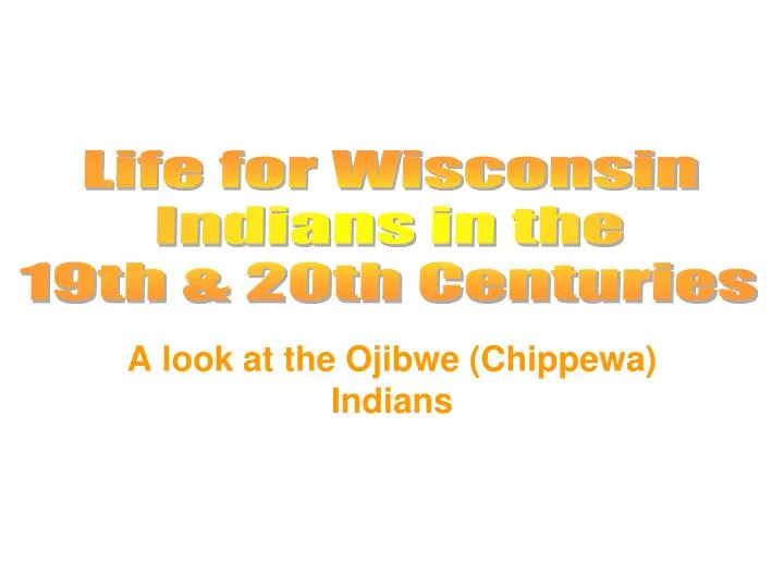 a look at the ojibwe chippewa indians