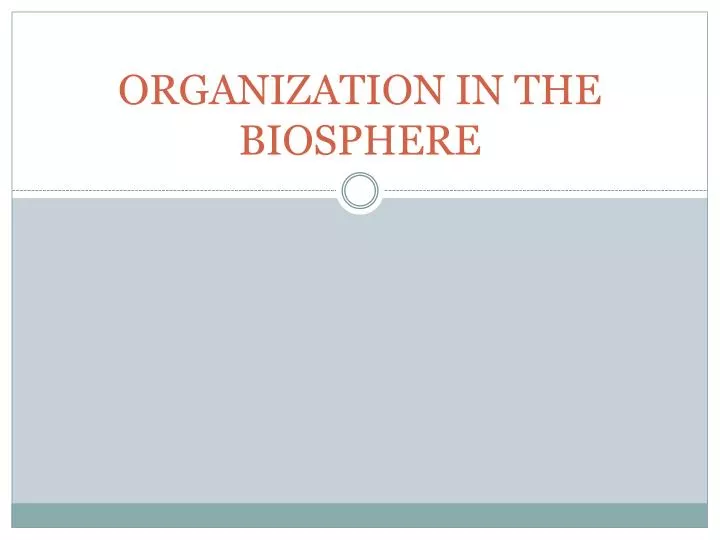 organization in the biosphere