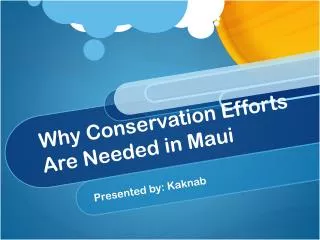 Why Conservation Efforts Are Needed in Maui