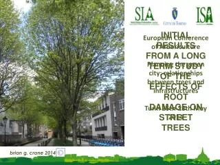 INITIAL RESULTS FROM A LONG TERM STUDY OF THE EFFECTS OF ROOT DAMAGE ON STREET TREES