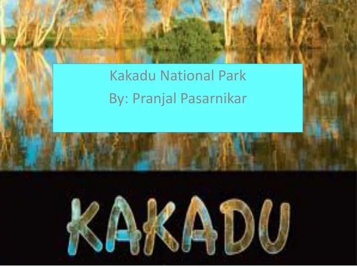 kakadu national park by pranjal pasarnikar