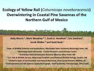 Ecology of Yellow Rail ( Coturnicops noveboracensis ) Overwintering in Coastal Pine Savannas of the Northern Gulf of Mex