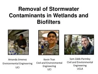 Removal of Stormwater Contaminants in Wetlands and Biofilters