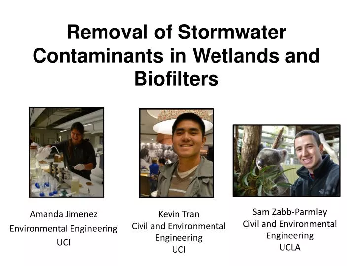 removal of stormwater contaminants in wetlands and biofilters