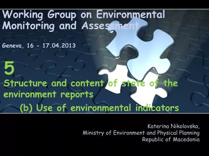 working group on environmental monitoring and assessment geneva 16 17 04 2013