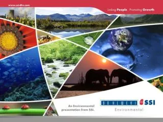 DINOKENG Environmental Management Framework
