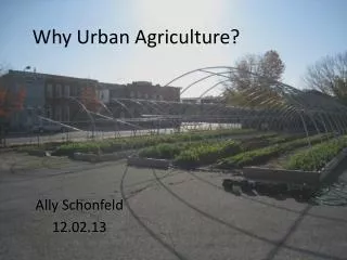 Why Urban Agriculture?
