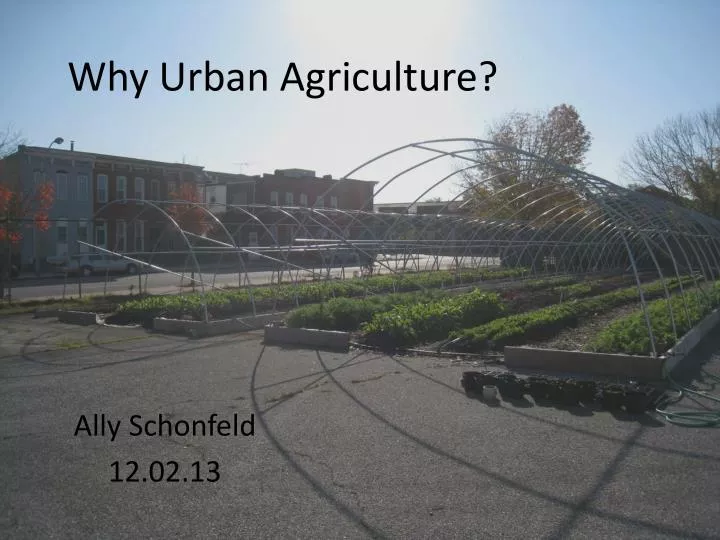 why urban agriculture