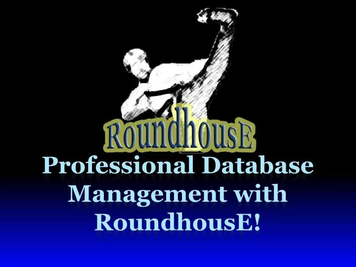 professional database management with roundhouse