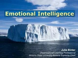 Julie Binter Organizational Learning Professional Arizona State University/Arizona Supreme Cou rt