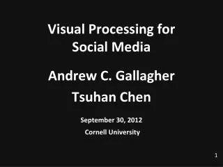 Visual Processing for Social Media