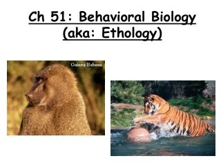 Ch 51: Behavioral Biology (aka: Ethology)