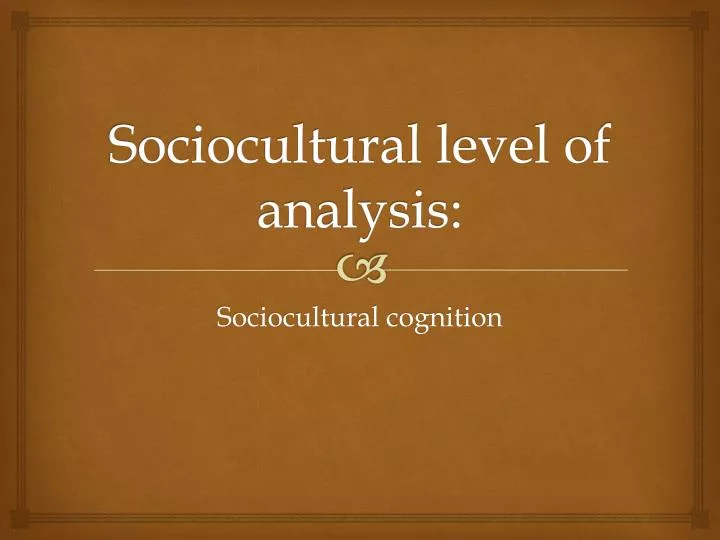 sociocultural level of analysis