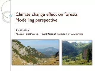 Climate change effect on forests Modelling perspective