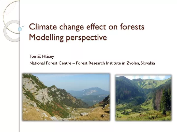 climate change effect on forests modelling perspective