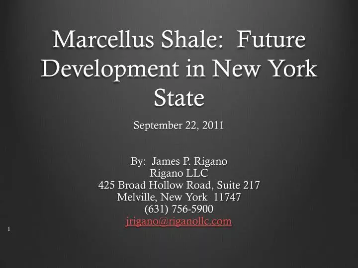 marcellus shale future development in new york state