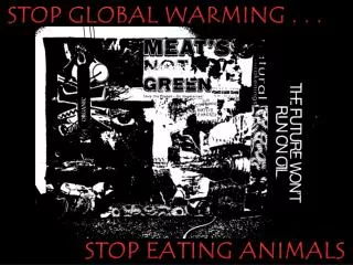 STOP EATING ANIMALS