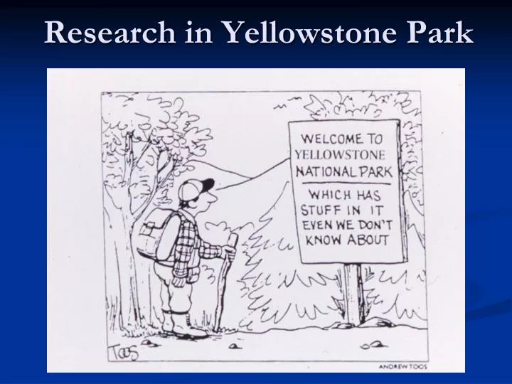 research in yellowstone park