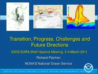Transition, Progress, Challenges and Future Directions