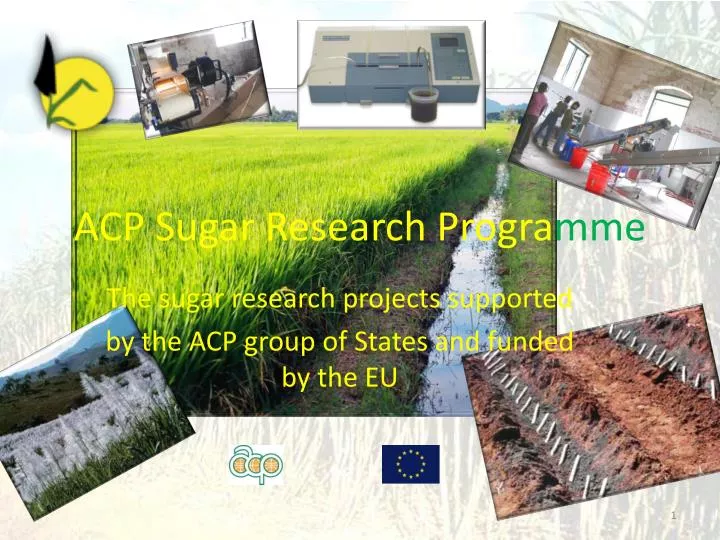 acp sugar research progra mme