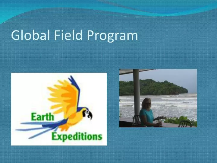 global field program