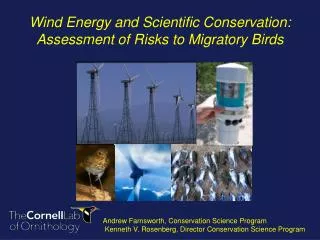 Wind Energy and Scientific Conservation : Assessment of Risks to Migratory Birds