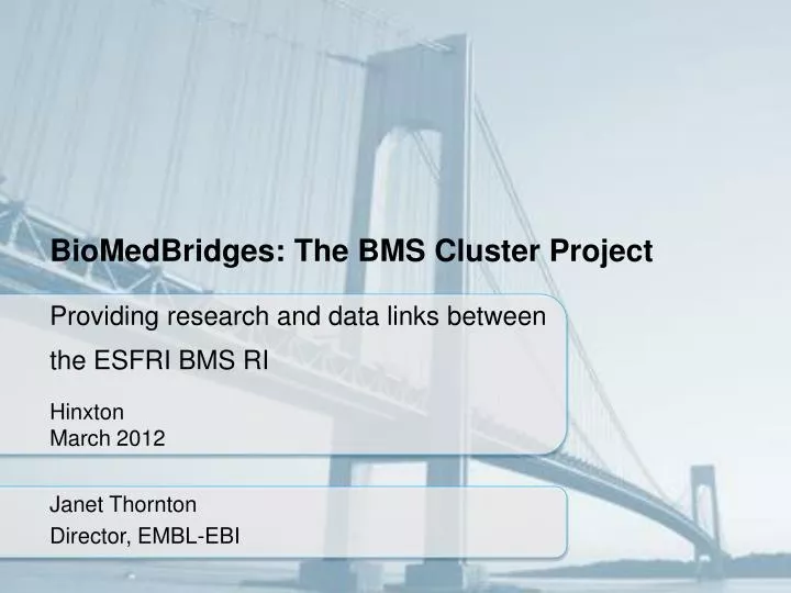 biomedbridges the bms cluster project
