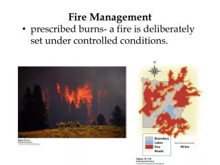 fire management